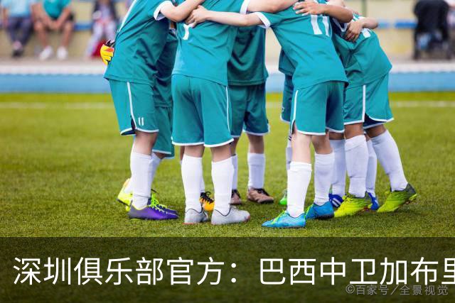 深圳俱乐部官方：巴西中卫加布里埃尔加盟
